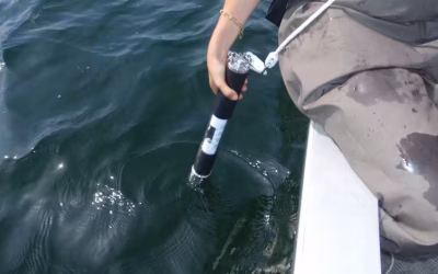 Formation courte : Cyanobactéries